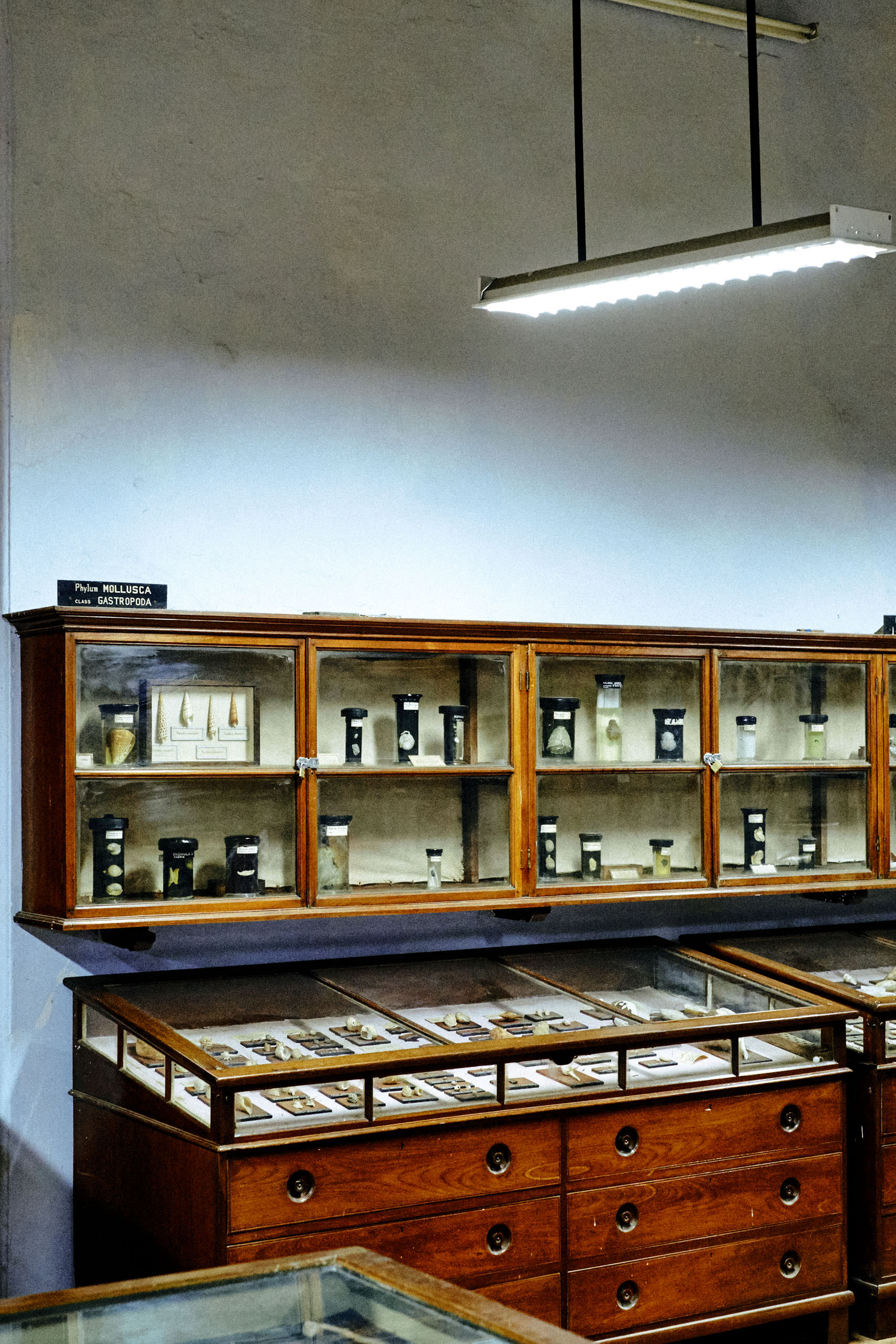 Government Art Museum Chennai